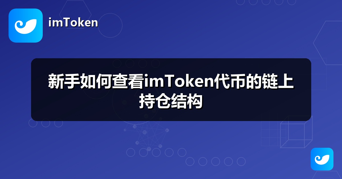 新手如何查看imToken代币的链上持仓结构