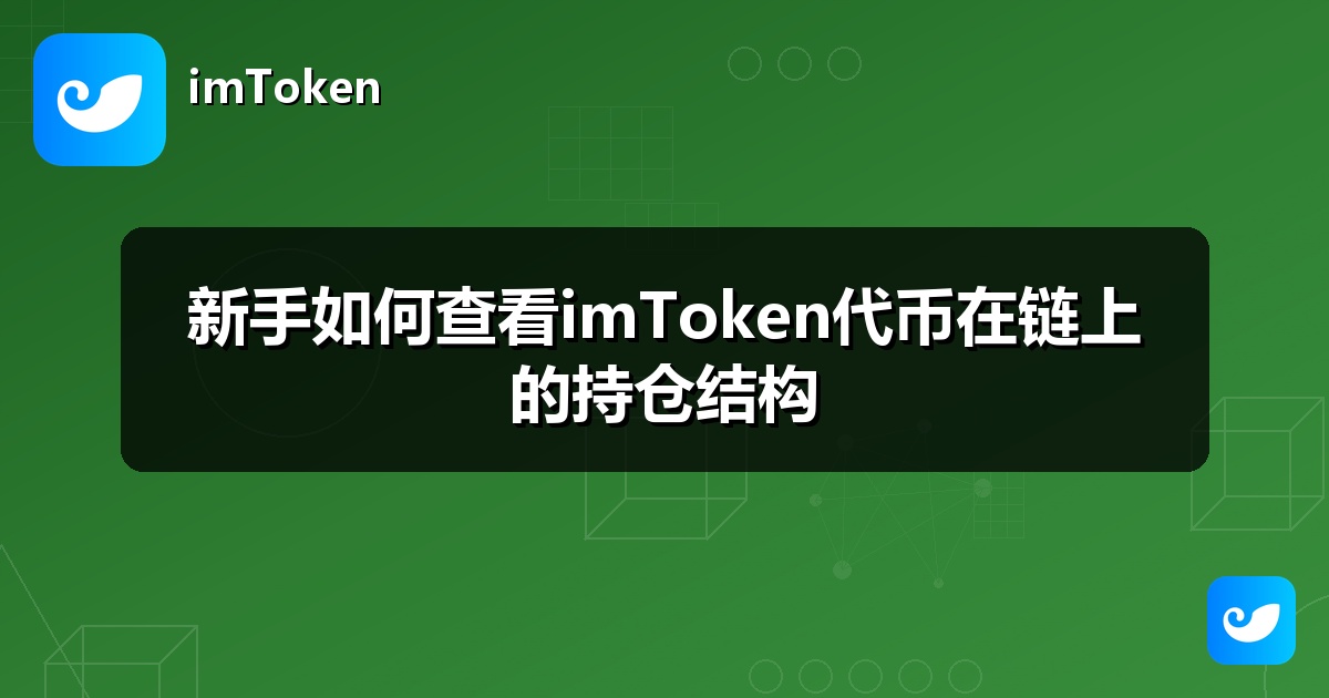新手如何查看imToken代币在链上的持仓结构