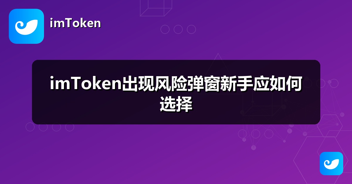 imToken出现风险弹窗新手应如何选择